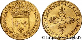 LOUIS XIII
Type : Écu d'or au soleil, 1er type 
Date : 1641 
Mint name / Town : Paris, Monnaie du Louvre 
Quantity minted : 402840 
Metal : gold 
Mill...