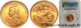 AUSTRALIA - VICTORIA
Type : 1 Souverain buste du jubilé 
Date : 1891 
Mint name / Town : Sydney 
Quantity minted : 2596000 
Metal : gold 
Millesimal f...