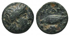 TROAS. Neandria. Ae (4th century BC).

Condition: Very Fine

Weight:1.40 gr
Diameter: 10 mm