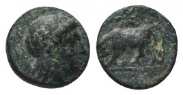 KINGS OF THRACE (Macedonian). Lysimachos (305-281 BC). Ae Unit. Lysimacheia. 

Condition: Very Fine

Weight: 1.10 gr
Diameter: 10 mm