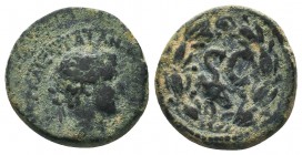 Seleucis and Pieria. Antiochia ad Orontem. Hadrian. A.D. 117-138. AE

Condition: Very Fine

Weight: 5.30 gr
Diameter: 19 mm