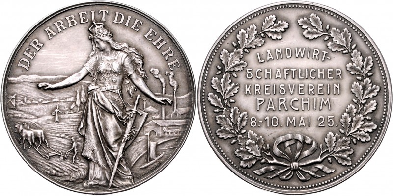 Mecklenburg - Schwerin Prägungen Silbermedaille 1925 (v. Oertel) Prämie des land...