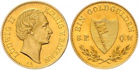 Würzburg - Stadt Neujahrsgoldgulden o.J. Präsent der Stadt, Ludwig II. / Spatenblattförmiger Wappenschild zwischen zwei Lorbeerzweigen, seitlich S.P.Q...