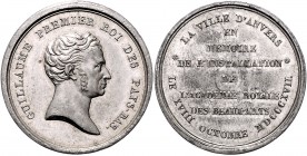 Niederlande Willem I. 1813-1840 Zinnmedaille 1817 (v. van de Goor) auf die Gründung der Akademie der Schönen Künste in Antwerpen 
38,6mm 24,8g vz