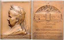 Niederlande Wilhelmina 1890-1948 Bronze-Plakette 1904 (v. Wienecke) auf die Königinmutter Emma und die Huldigung der niederländisch-belgischen Medaill...