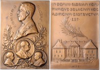 Schweden Gustav V. 1907-1950 Bronze-Plakette 1923 (v. Sven Kulle) auf den Krankenhausneubau in Stockholm, i.Rd: BRONS 1923 
49,0x83,0mm 166,9g vz
