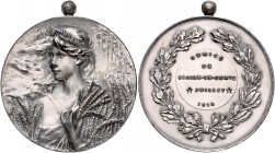 - Jugendstil Bronzemedaille 1914 versilbert Prämie der landwirtschaftlichen Ausstellung Braine-le-Comte 
mit Kugelöse, 50,5mm 39,4g vz+