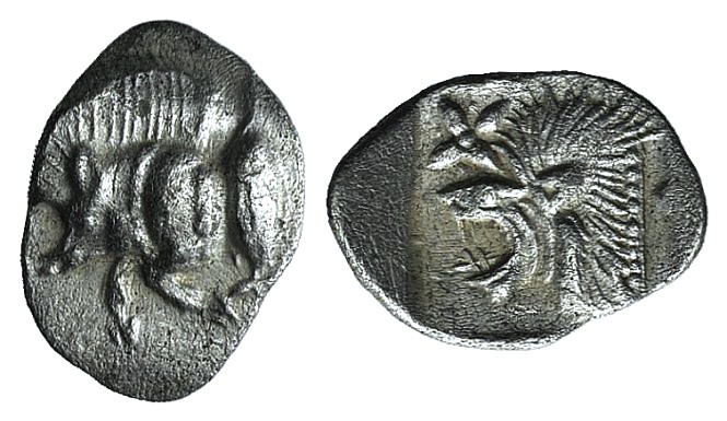 Mysia, Kyzikos, c. 450-400 BC. AR Hemiobol (9mm, 0.39g, 3h). Forepart of boar l....