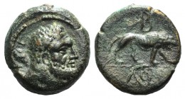 Kings of Galatia, Amyntas (36-25). Æ (22mm, 11.02, 12h). Head of bearded Herakles r., holding club over shoulder. R/ Lion walking r. RPC I 3505; SNG B...