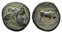 Seleukid Kings, Seleukos I (312-281 BC). Æ (15mm, 2.85g, 2h). Antioch ad Orontes, c. 285-280 BC. Head of Gorgon r. R/ Bull advancing r. SC 21.2. Good ...