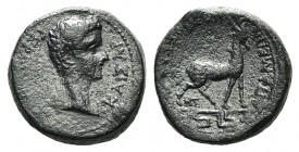 Germanicus (Caesar, 15 BC-AD 19). Phrygia, Apameia. Æ (14mm, 3.59g, 12h). Gaius Julius Callicles, magistrate. Bare head r. R/ Stag standing r. on maea...