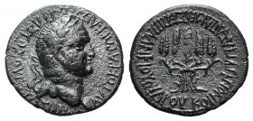 Vespasian (69-79). Phrygia, Apameia. Æ (27mm, 7.77g, 12h). Plancius Varus, magistrate. Laureate head r. R/ Five grain ears bundled together. RPC II 13...