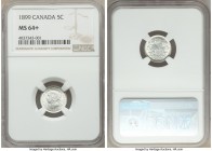 Victoria 5 Cents 1899 MS64+ NGC, London mint, KM2. A near-gem representative displaying laudable preservation and blooming argent luster. 

HID09801...