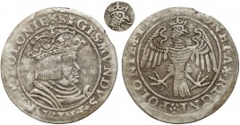 Zygmunt I Stary, Trojaki Kraków 1528 - Orzeł w prawo - rzadkość R5