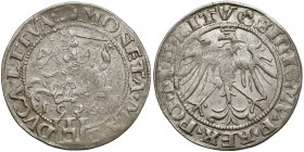 Zygmunt I Stary, Grosz Wilno 1536 - litera M - marzec