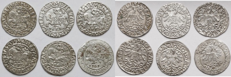 Zygmunt II August, Półgrosze Wilno 1556-1561 (6szt)
 Piękny egzemplarz 1559. Ni...