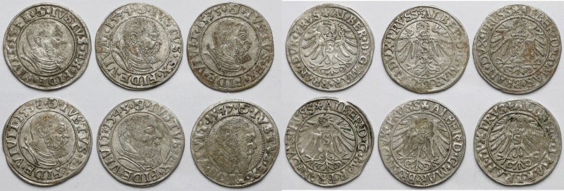 Prusy, Albrecht Hohenzollern, Grosze Królewiec 1531-1547 (6szt)
 W zestawie m.i...