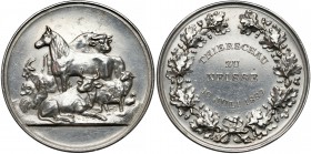 Śląsk, Nysa, Medal za pokaz zwierząt 1889