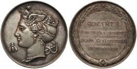 France, Medaille Societe D'Encouragement Pour L'Industrie Nationale (Domard)