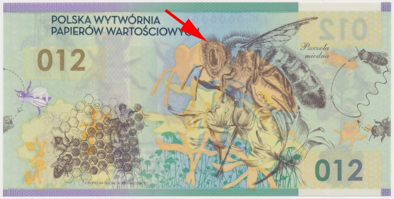 PWPW 012 Pszczoła (2012) - przesunięta warstwa główna
 Wyraźnie przesunięty dru...