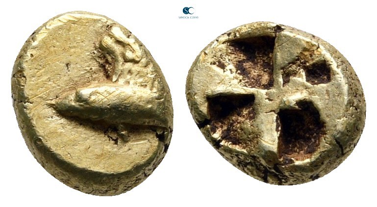 Mysia. Kyzikos 550-500 BC. 
Hemihekte-1/12 Stater EL

9 mm., 1,35 g.

Winge...