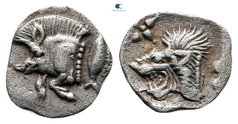 Mysia. Kyzikos circa 525-475 BC. 
Hemiobol AR

10 mm., 0,37 g.

Forepart of...