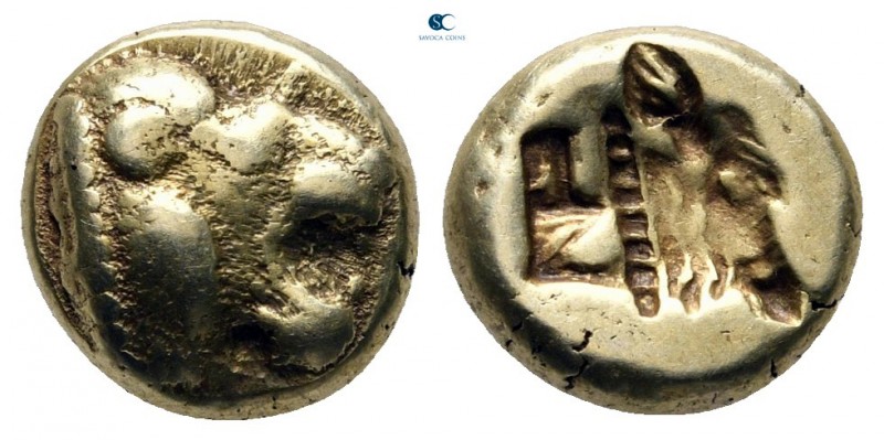 Lesbos. Mytilene 521-478 BC. 
Hekte EL

10 mm., 2,48 g.

Head of lion right...