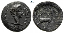 Phrygia. Apameia. Germanicus AD 37-41. Gaios Ioulios Kallikles, magistrate. Bronze Æ
