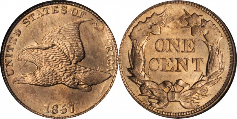 1857 Flying Eagle Cent. Snow-9, FS-402. Obverse Die Clash with Liberty Seated Ha...