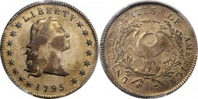 1795 Flowing Hair Silver Dollar. BB-27, B-5. Rarity-1. Three Leaves. EF Details--Surfaces Smoothed (PCGS).

Shades of lavender-grey and bronze domin...