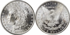1883-CC Morgan Silver Dollar. MS-66+ (PCGS).

A fully struck, intensely lustrous beauty with frosty white surfaces.

PCGS# 7144. NGC ID: 254H.