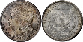 1889-S Morgan Silver Dollar. MS-65 (PCGS).

Mottled olive-russet and pinkish-silver patina adorns the obverse, the reverse remaining brilliant apart...