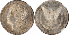 1893-S Morgan Silver Dollar. AU Details--Repaired, Polished (NGC).

Overall sharp striking and ample remnants of a semi-prooflike finish from the di...