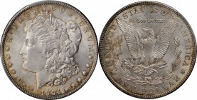 1904 Morgan Silver Dollar. MS-65 (PCGS).

Soft pearl gray patina is seen on both sides, giving way to bolder olive-apricot and cobalt blue highlight...