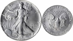 1991 Silver Eagle. MS-70 (NGC).

Brilliant and absolutely pristine.

PCGS# 9846. NGC ID: 26JE.
