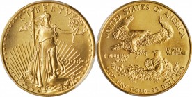 1991 Half-Ounce Gold Eagle. MS-69 (PCGS).

Splendid medium gold surfaces with a full strike and intense mint luster.

PCGS# 9852. NGC ID: 26NC.