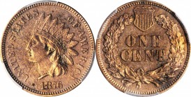 Indian Cent

Lot of (2) Indian Cents. (PCGS).

Included are: 1876 AU Details--Cleaned; and 1899 Unc Details--Questionable Color.