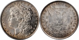 Morgan Silver Dollar

1878 Morgan Silver Dollar. 8 Tailfeathers. AU-55 (PCGS).

PCGS# 7072. NGC ID: 253H.