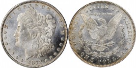 Morgan Silver Dollar

1878 Morgan Silver Dollar. 7/8 Tailfeathers. Strong. MS-62 (PCGS).

PCGS# 7078. NGC ID: 2TXZ.