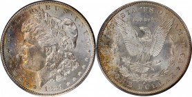 Morgan Silver Dollar

1881-S Morgan Silver Dollar. MS-65 (PCGS).

PCGS# 7130. NGC ID: 2549.