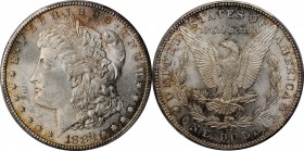 Morgan Silver Dollar

1882-CC Morgan Silver Dollar. MS-62 (PCGS).

PCGS# 7134. NGC ID: 254B.