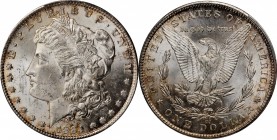 Morgan Silver Dollar

1884-CC Morgan Silver Dollar. MS-63 (PCGS).

PCGS# 7152. NGC ID: 254M.