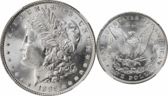Morgan Silver Dollar

1886 Morgan Silver Dollar. MS-65 (NGC).

PCGS# 7166. NGC ID: 254V.