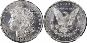 Morgan Silver Dollar

1886-S Morgan Silver Dollar. MS-63 (NGC).

PCGS# 7170. NGC ID: 254X.