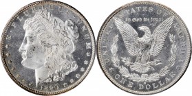 Morgan Silver Dollar

1890-S Morgan Silver Dollar. MS-64 PL (PCGS).

PCGS# 7203. NGC ID: 255F.
