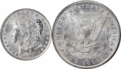Morgan Silver Dollar

1891-CC Morgan Silver Dollar. VAM-3. Top 100 Variety. Spitting Eagle. MS-63 (PCGS).

PCGS# 7206. NGC ID: 255H.