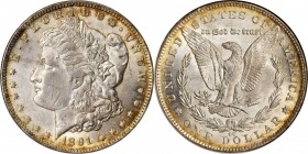 Morgan Silver Dollar

1891-CC Morgan Silver Dollar. VAM-3. Top 100 Variety. Spitting Eagle. MS-62 (NGC).

PCGS# 133937. NGC ID: 255H.