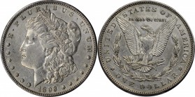 Morgan Silver Dollar

1893 Morgan Silver Dollar. EF Details--Harshly Cleaned (PCGS).

PCGS# 7220. NGC ID: 255R.