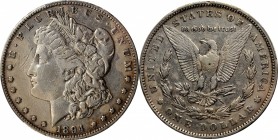 Morgan Silver Dollar

1894 Morgan Silver Dollar. VF Details--Environmental Damage (PCGS).

PCGS# 7228. NGC ID: 255V.