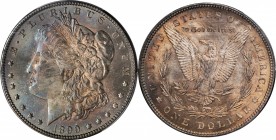 Morgan Silver Dollar

1899 Morgan Silver Dollar. MS-65 (PCGS).

PCGS# 7258. NGC ID: 256B.